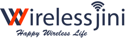 Wireless Jini
